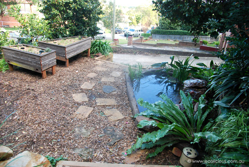 Lanecove Pond and aquaponic growbed