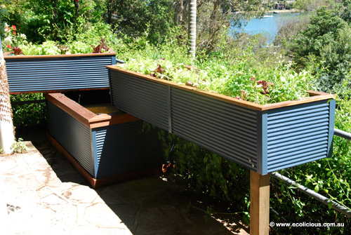 Sydney Harbour designer aquaponics system